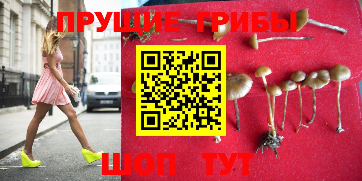 купить наркоту  Вход с VPN  Тосно  Псилоцибиновые грибы мицелий 